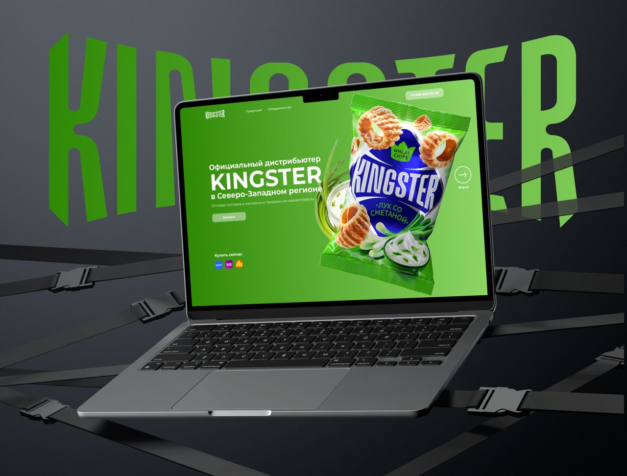 Разработка лендинга для презентации продукции Kingster